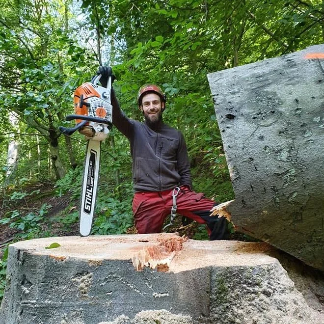 Nicolas Russo rognage souche arbre